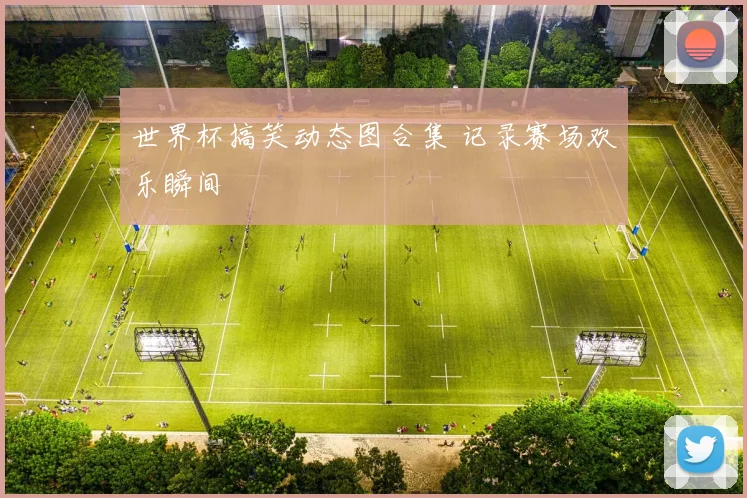 世界杯搞笑动态图合集 记录赛场欢乐瞬间