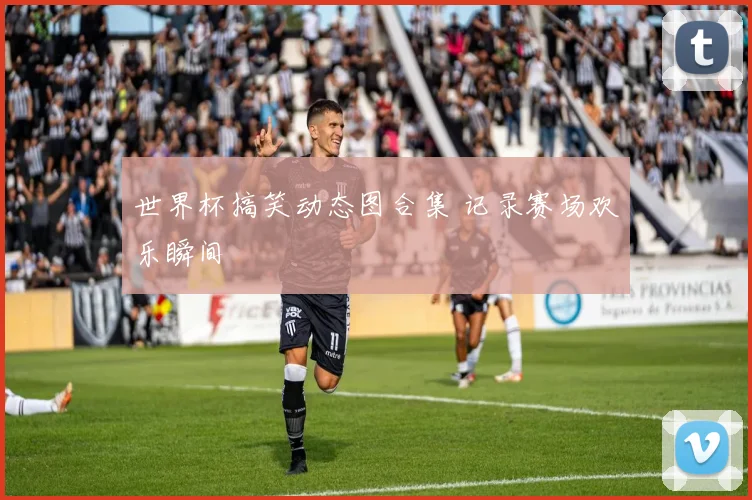 世界杯搞笑动态图合集 记录赛场欢乐瞬间
