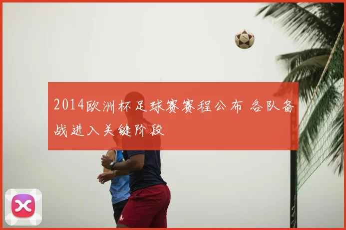 2014欧洲杯足球赛赛程公布 各队备战进入关键阶段