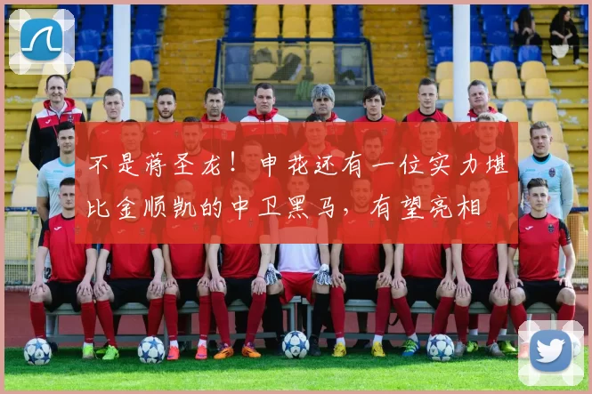 不是蒋圣龙！申花还有一位实力堪比金顺凯的中卫黑马，有望亮相