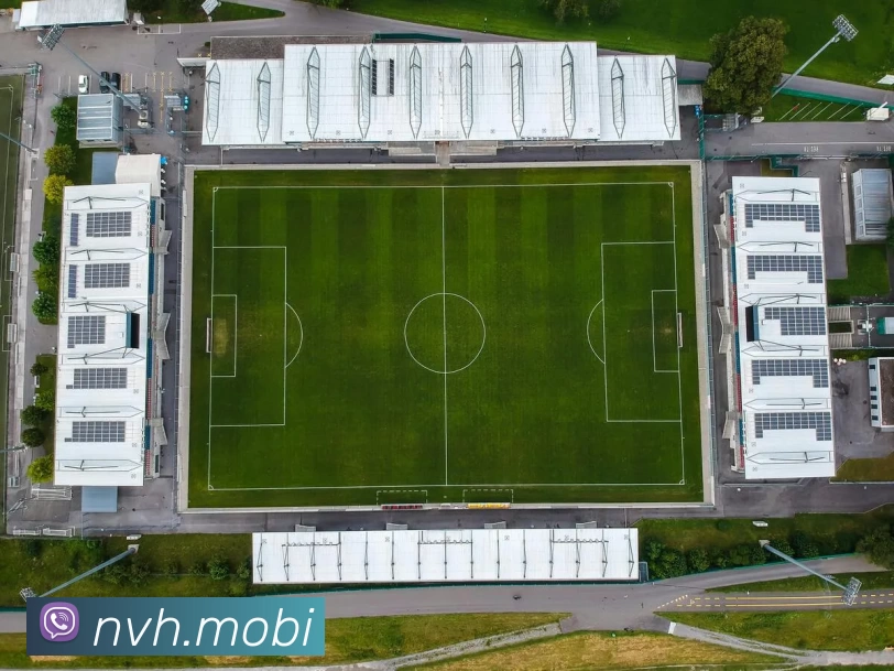 开云在线网页版平台生态图